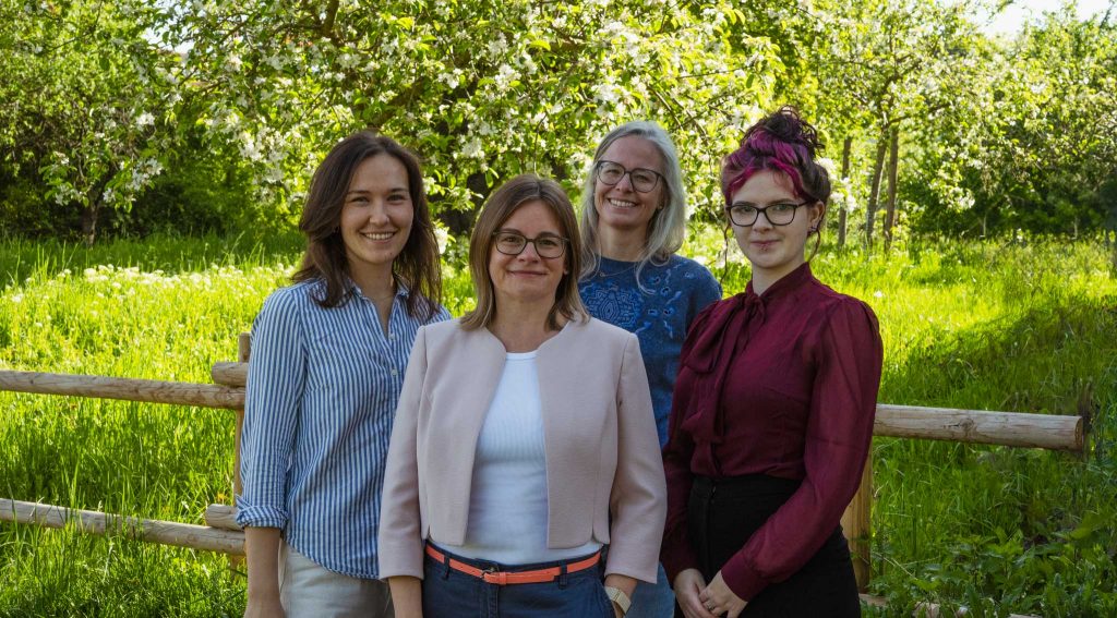 Mindbureau Team